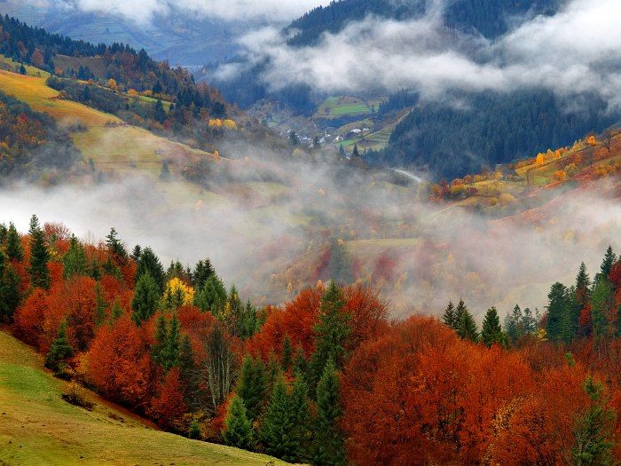 Отдых в Закарпатье осенью – полезное с приятным